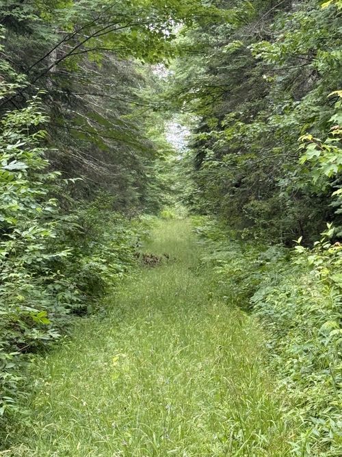 xxx Benson Rd, Alborn, MN, 55702 | Card Image