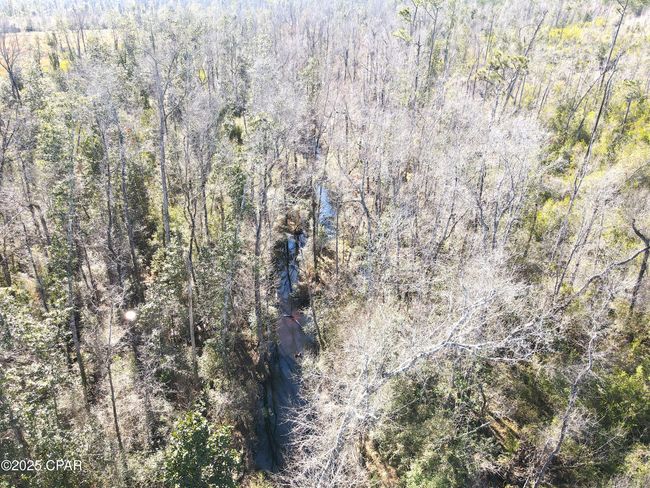 0 John F Bailey Rd, Home with 0 bedrooms, 0 bathrooms and null parking in Blountstown FL | Image 9