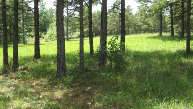 00 Morgan Rd, Home with 0 bedrooms, 0 bathrooms and null parking in Rose Bud AR | Image 21