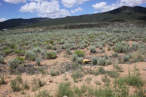 lot 12 Shirley Dr, Questa, NM, 87556-8000 | Card Image