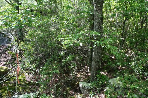 TBD High Valley Dr S, MONTEREY, VA, 24465 | Card Image