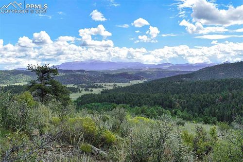 231 Deer Ln, Guffey, CO, 80820-9105 | Card Image