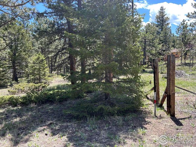75 Overland Dr, Home with 0 bedrooms, 0 bathrooms and null parking in Ward CO | Image 19