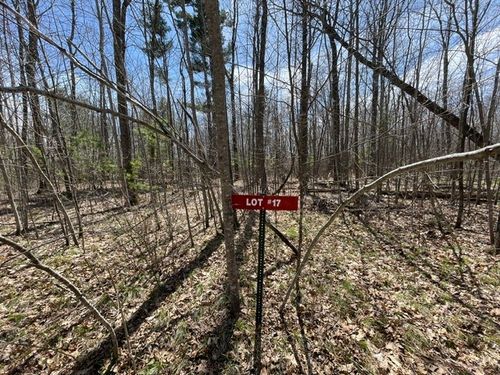 0 White Oak Trail, Hayward, WI, 54843 | Card Image