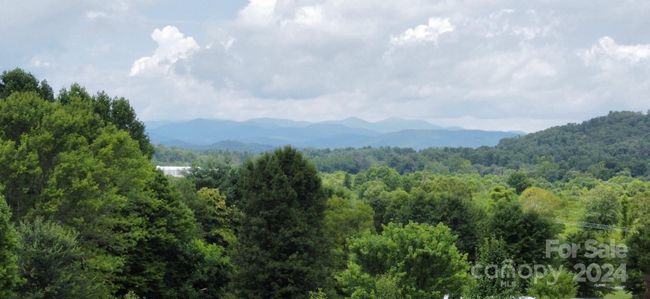 3 - 9999 Greenland Path, Home with 0 bedrooms, 0 bathrooms and null parking in Mills River NC | Image 8