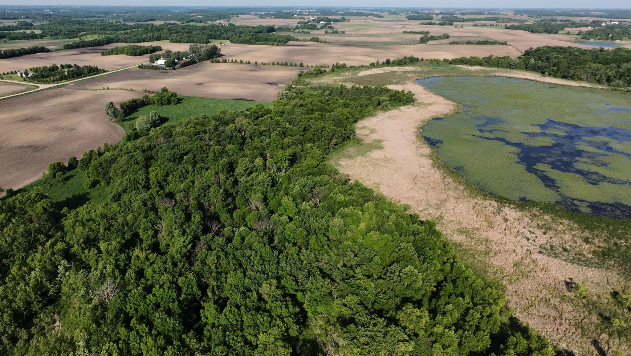 Land in Morristown