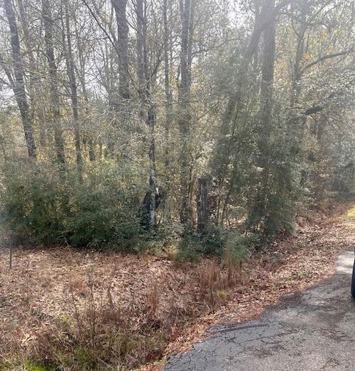 40 Acres Joiner-Wymer Road, Covington, LA, 70433 | Card Image