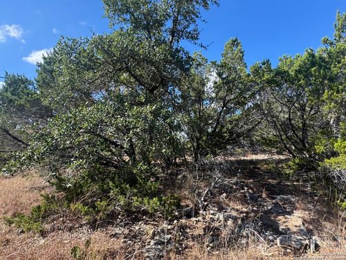 217 Breeze Pt, Fischer, TX, 78623-2507 | Card Image