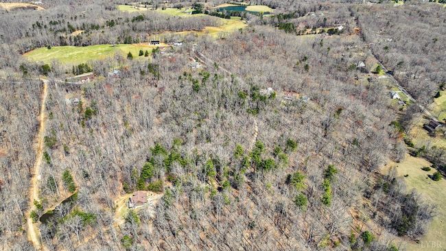 0 Old Cifax Rd, Home with 0 bedrooms, 0 bathrooms and null parking in Goode VA | Image 5