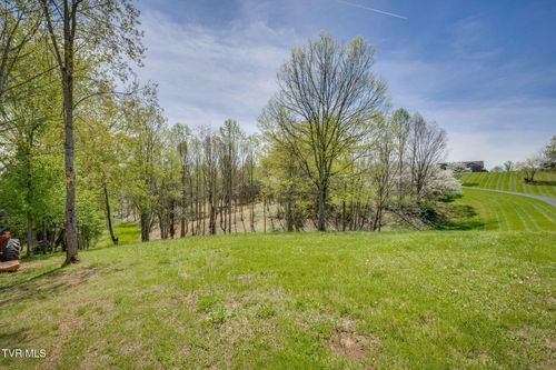 Tbd Chaucer Court, Johnson City, TN, 37615 | Card Image