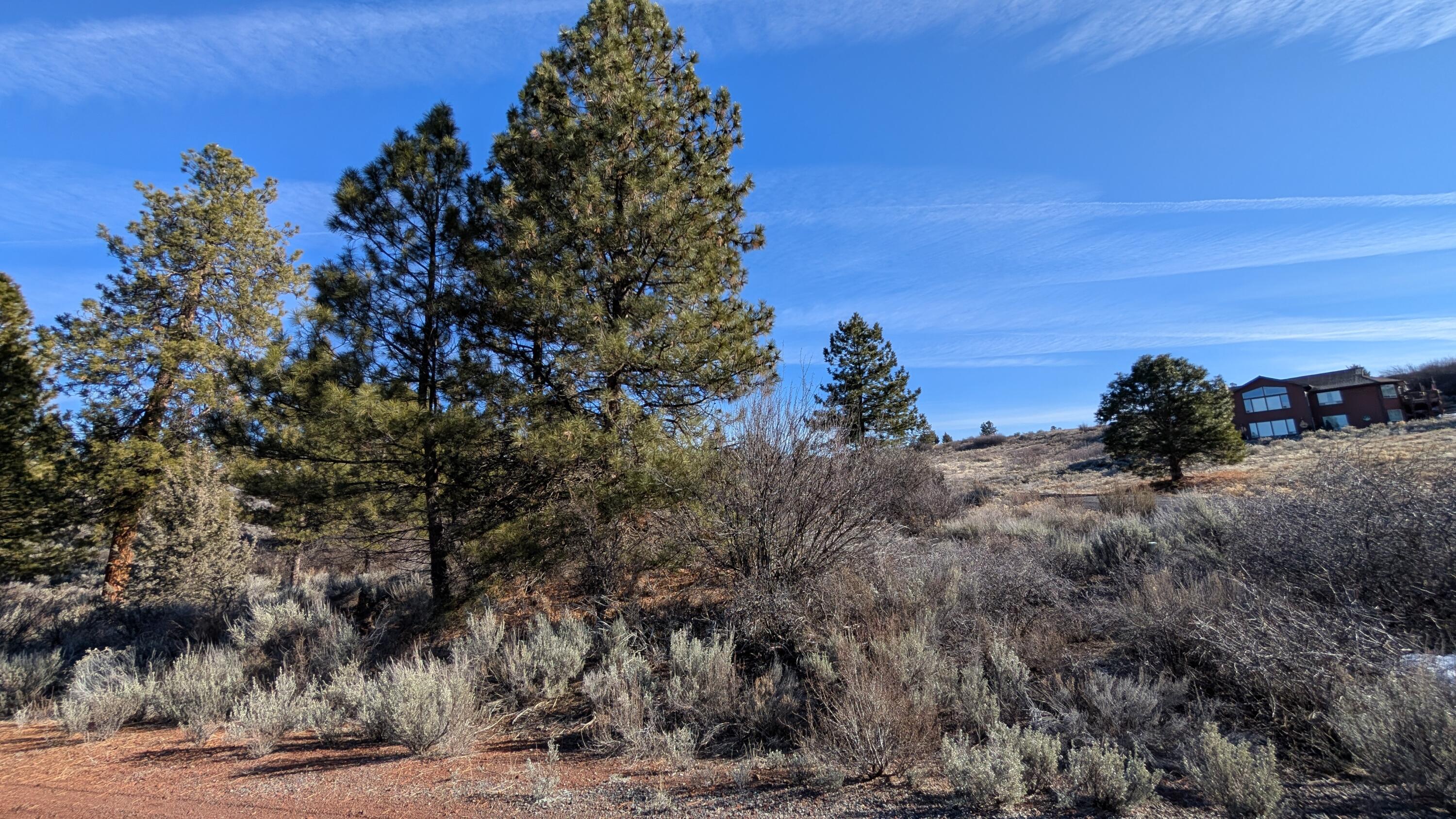 Land in Chiloquin 3