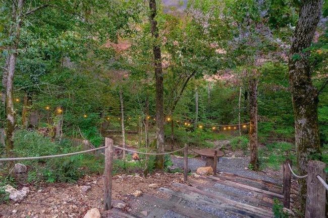 path to creek | Image 32