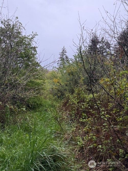 3 NKA Katherine St, Port Townsend, WA, 98368 | Card Image