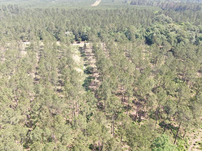 507 Js Mcleod Jr Way, House other with 6 bedrooms, 4 bathrooms and null parking in Blakely GA | Image 107