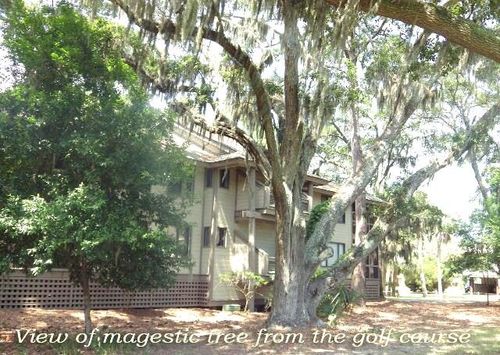 855 Club Cottage Road, Edisto Island, SC, 29438 | Card Image