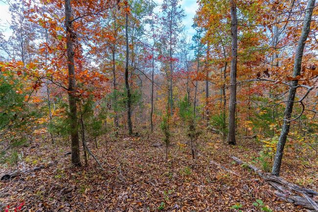 5 - 0 Highway Jj, Home with 0 bedrooms, 0 bathrooms and null parking in Marquand MO | Image 24