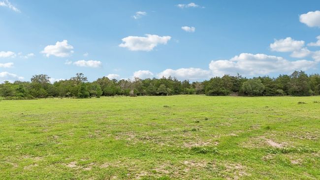 View of woods with a view of countryside | Image 24