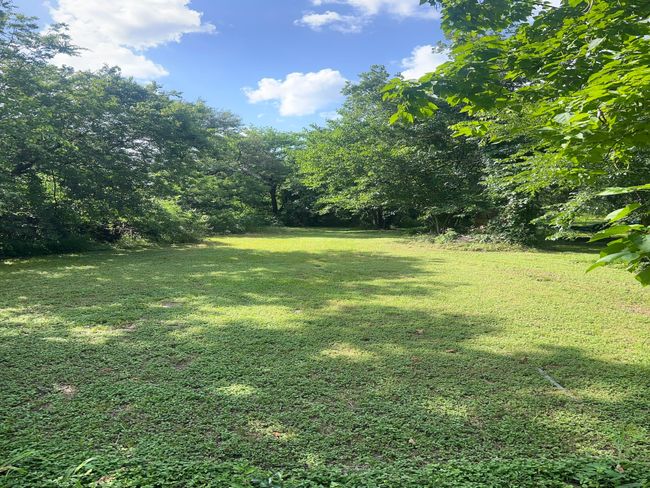 712 E 3 Rd Ave, Home with 0 bedrooms, 0 bathrooms and null parking in Corsicana TX | Image 8