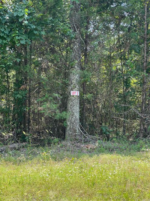 Lot 3 Pleasant Ridge Rd, Greers Ferry, AR, 72067-8938 | Card Image