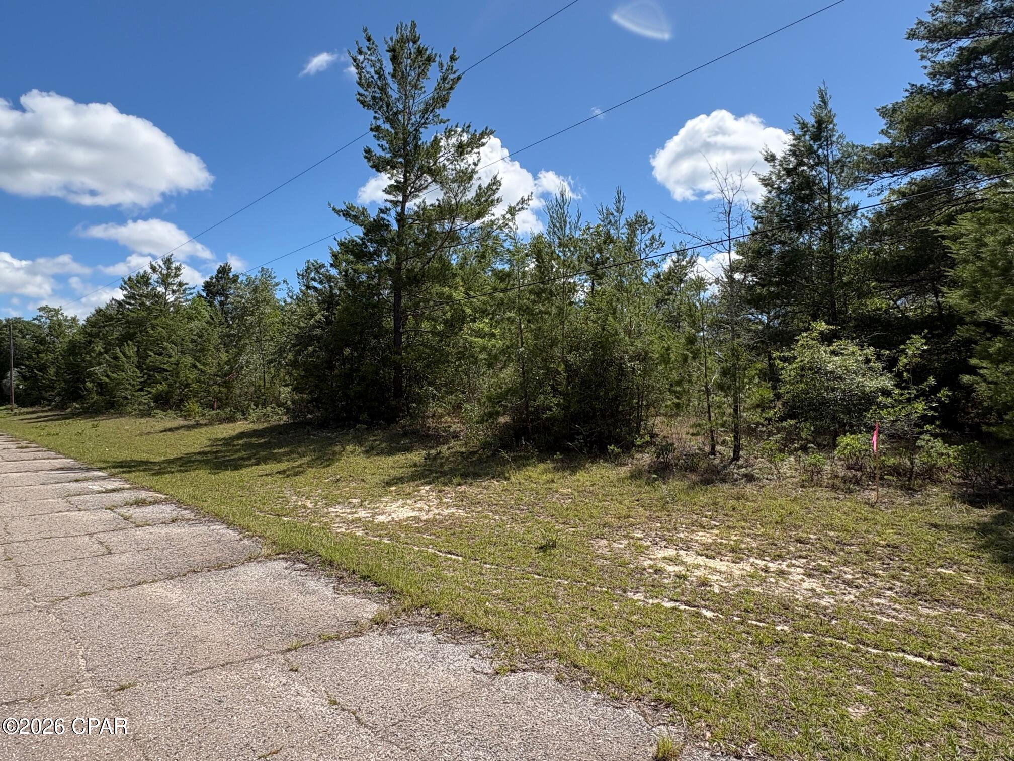 Land in Chipley 5