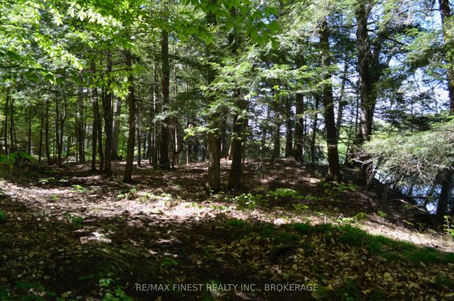 734 Sherbrooke Dr, Home with 0 bedrooms, 0 bathrooms and null parking in Maberly ON | Image 14