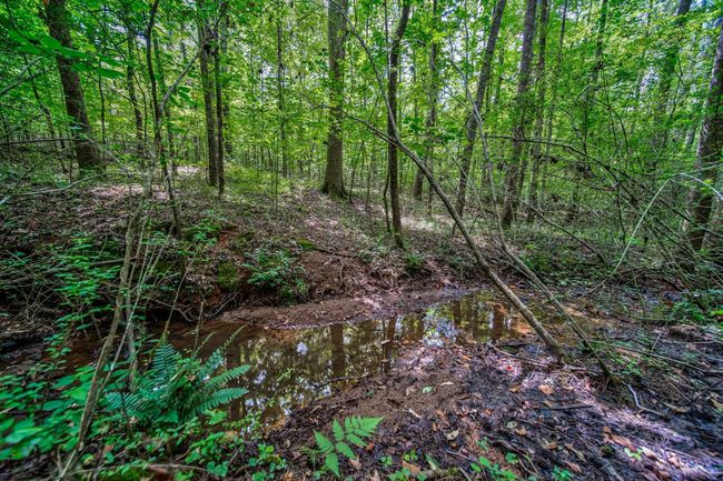 0 Borrow Pit Rd, Home with 0 bedrooms, 0 bathrooms and null parking in douglasville GA | Image 6