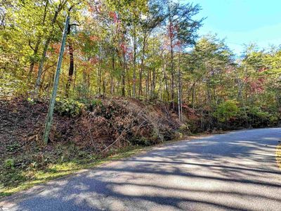 LOT-89 - 089 Forest Drive, Home with 0 bedrooms, 0 bathrooms and null parking in Travelers Rest SC | Image 3