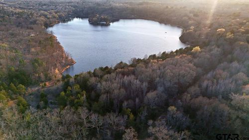 0000 Holiday Pine Drive, Mineola, TX, 75773 | Card Image