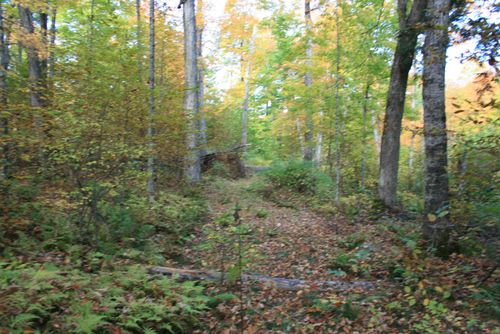 parcel-3-377 University Dr, Iron River, MI, 49935 | Card Image