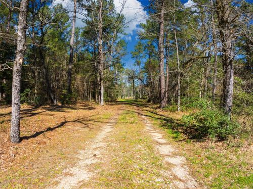 9191 Amelia Dr, Anderson, TX, 77830-5659 | Card Image