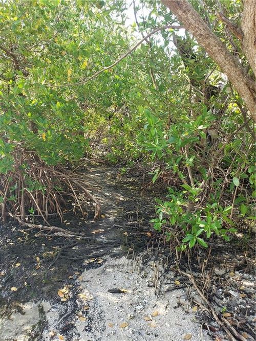 TBD Masters Landing Dr, SAINT JAMES CITY, FL, 33956 | Card Image