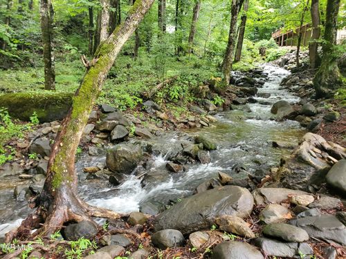 206 Toms Creek Dr, Roan Mountain, TN, 37687 | Card Image