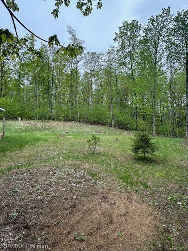 3624 Windy Hollow Rd Nw, House other with 4 bedrooms, 2 bathrooms and null parking in Rapid City MI | Image 12