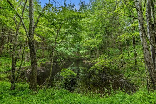 921 Eli Rd, Bon Aqua, TN, 37025-5019 | Card Image