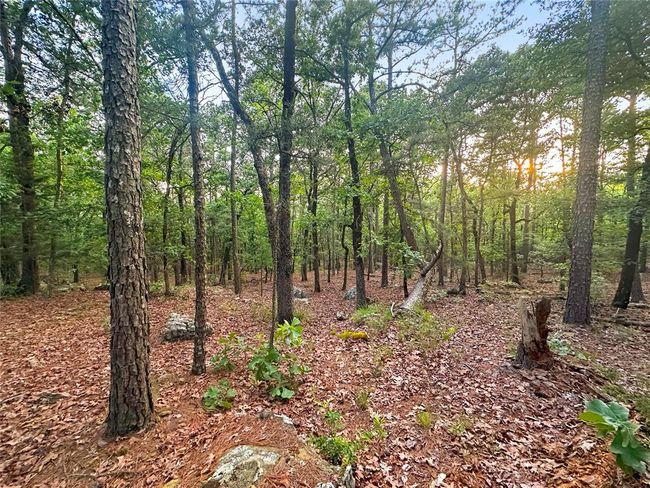 53 - 53 Homestead Trl, Home with 0 bedrooms, 0 bathrooms and null parking in Moyers OK | Image 20