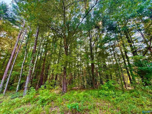 3 Acres Herbert Rd, Hartselle, AL, 35640 | Card Image