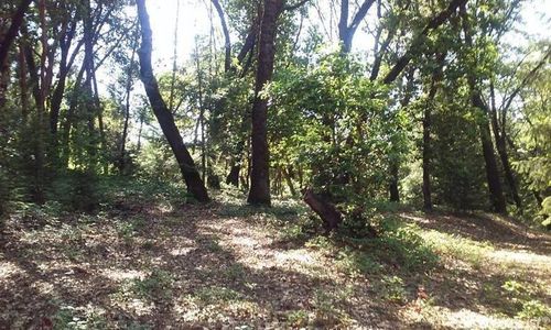 20676 Spring Garden Rd, Foresthill, CA, 95631-9201 | Card Image