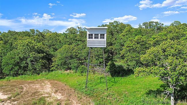 All Stands, Feeders, and Cameras Included | Image 11