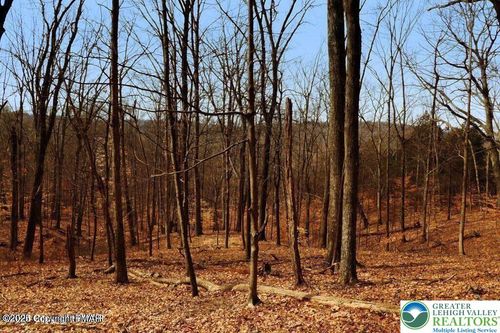 0 Deerfoot & Pine Tree Road, Penn Forest Twp, PA, 18210 | Card Image