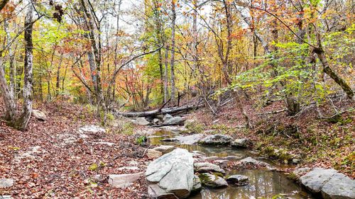 0 Sulpher Springs Rd, Waterloo, SC, 29384 | Card Image