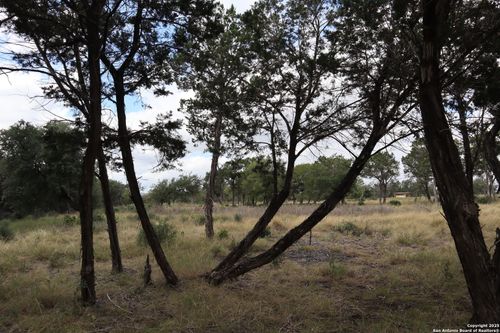 0 English, Pipe Creek, TX, 78063 | Card Image