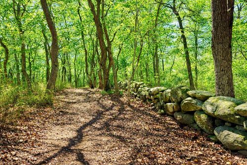 0 North Road/15 Belhaven Way, Chilmark, MA, 02535 | Card Image