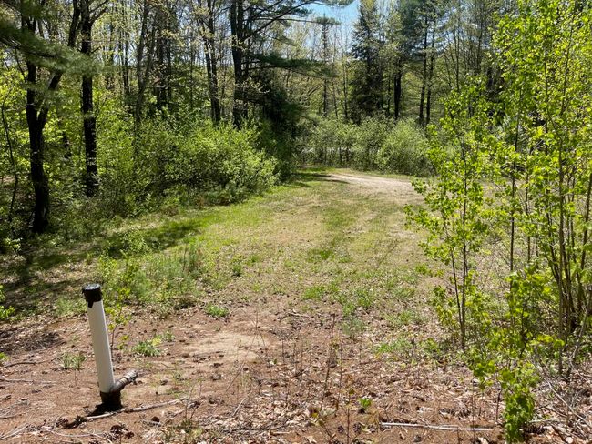 1780 Nh Route 16, Home with 0 bedrooms, 0 bathrooms and null parking in Albany NH | Image 15