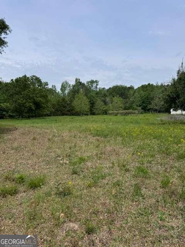 0 Deep Creek Rd, Home with 0 bedrooms, 0 bathrooms and null parking in Dewy Rose GA | Image 7
