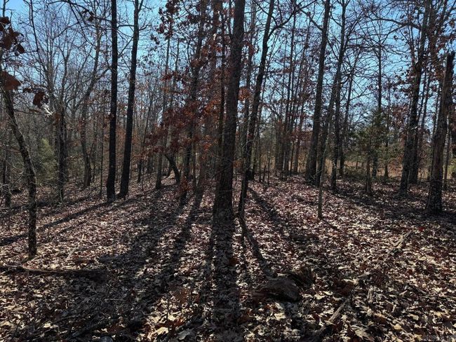 60 Tablerock Rd, Home with 0 bedrooms, 0 bathrooms and null parking in Evening Shade AR | Image 9
