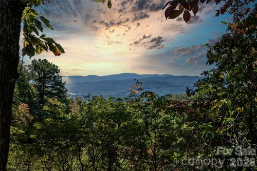 48-99999 Mountain Grove Lane, Fletcher, NC, 28732 | Card Image