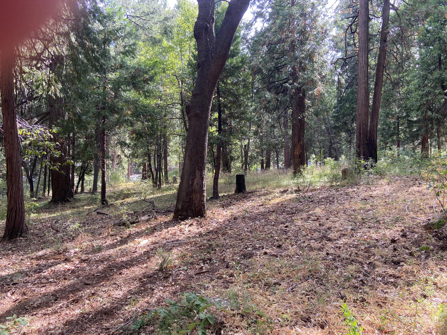 Land in Pollock Pines