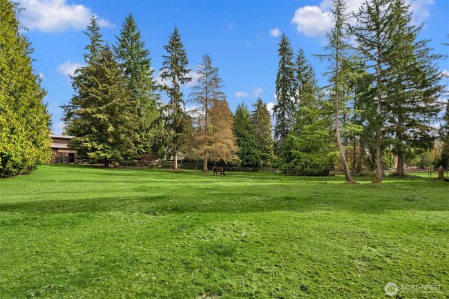 Well maintained pasture with plenty of shade. | Image 37