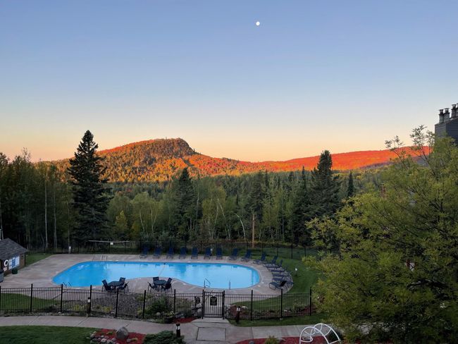 MooseView.jpg | Image 21
