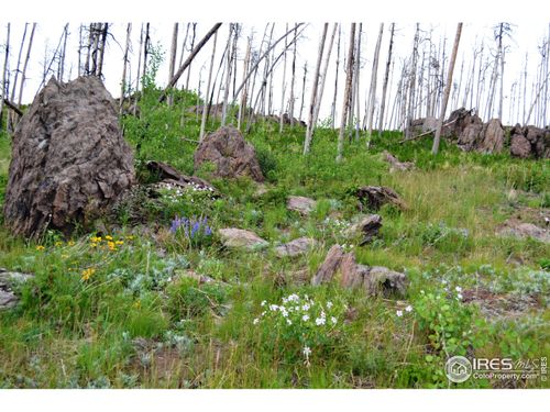 2025 Granite Rd, Bellvue, CO, 80512 | Card Image